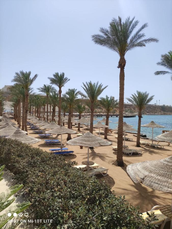 Seti Sharm Palm Beach Resort Families And Couples Only المظهر الخارجي الصورة